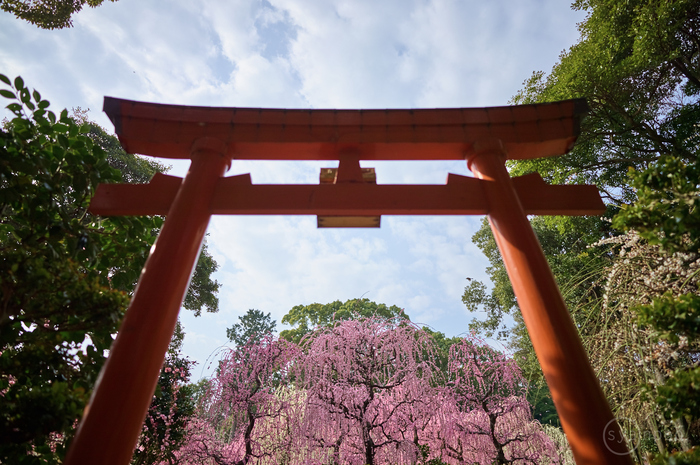 お写ん歩: SIGMA 20mm F2 DG DN | Contemporaryアーカイブ